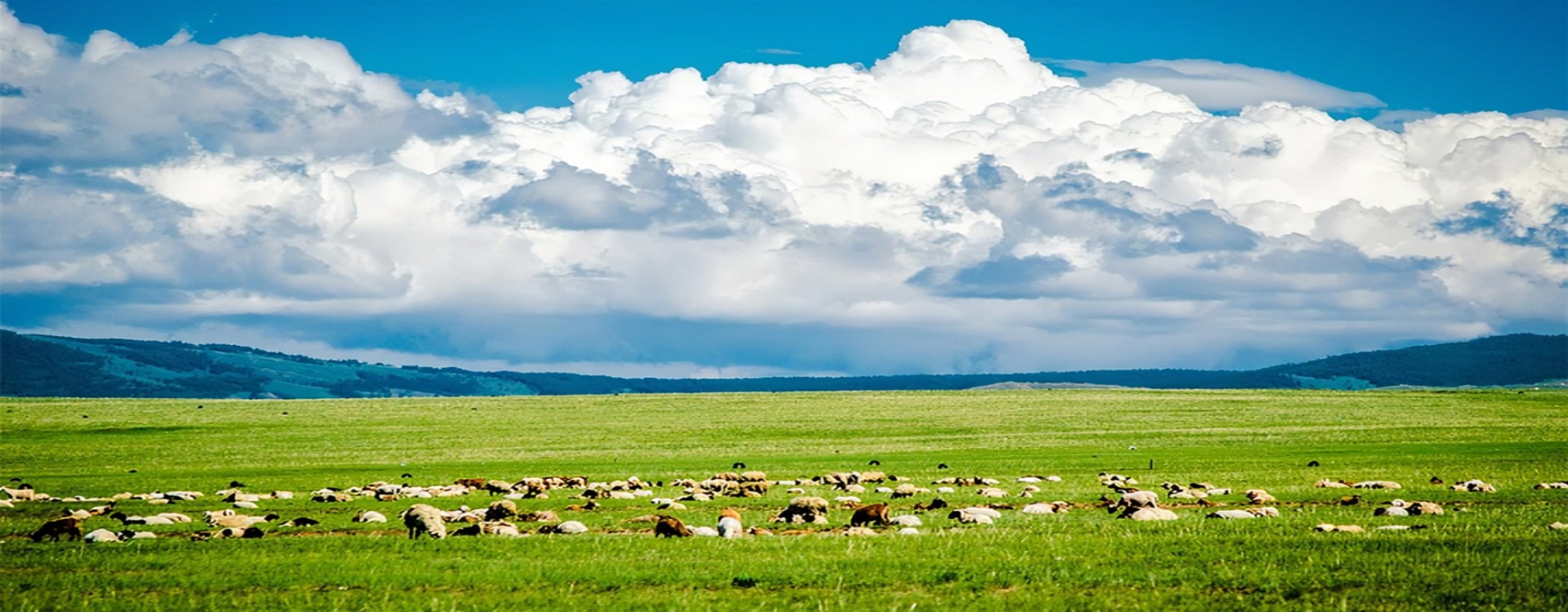 Welcome to Inner Mongolia